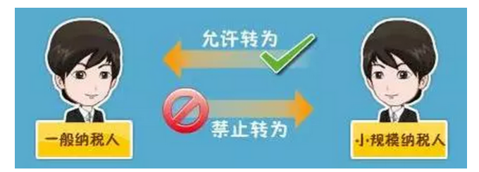 2021年一般纳税人和小规模纳税人的区别及政策法规