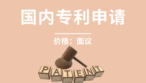国内专利申请