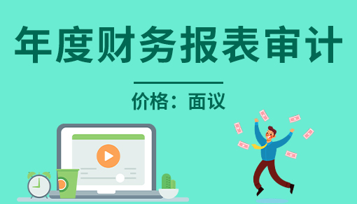 账品会帮您进行2022年年度财务报表审计
