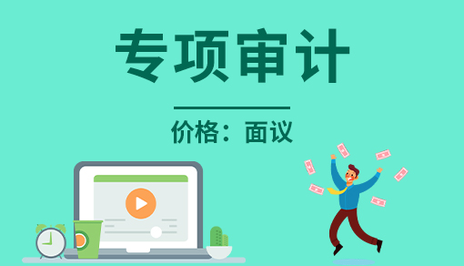 账品会帮您进行2022年专项审计