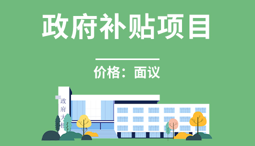 政府补贴项目