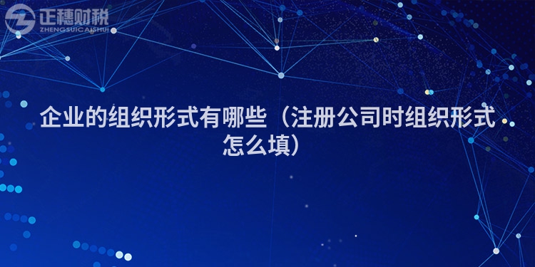企业的组织形式有哪些(注册公司时组织形式怎么填)