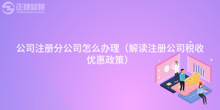 公司注册分公司怎么办理(解读注册公司税收优惠政策)